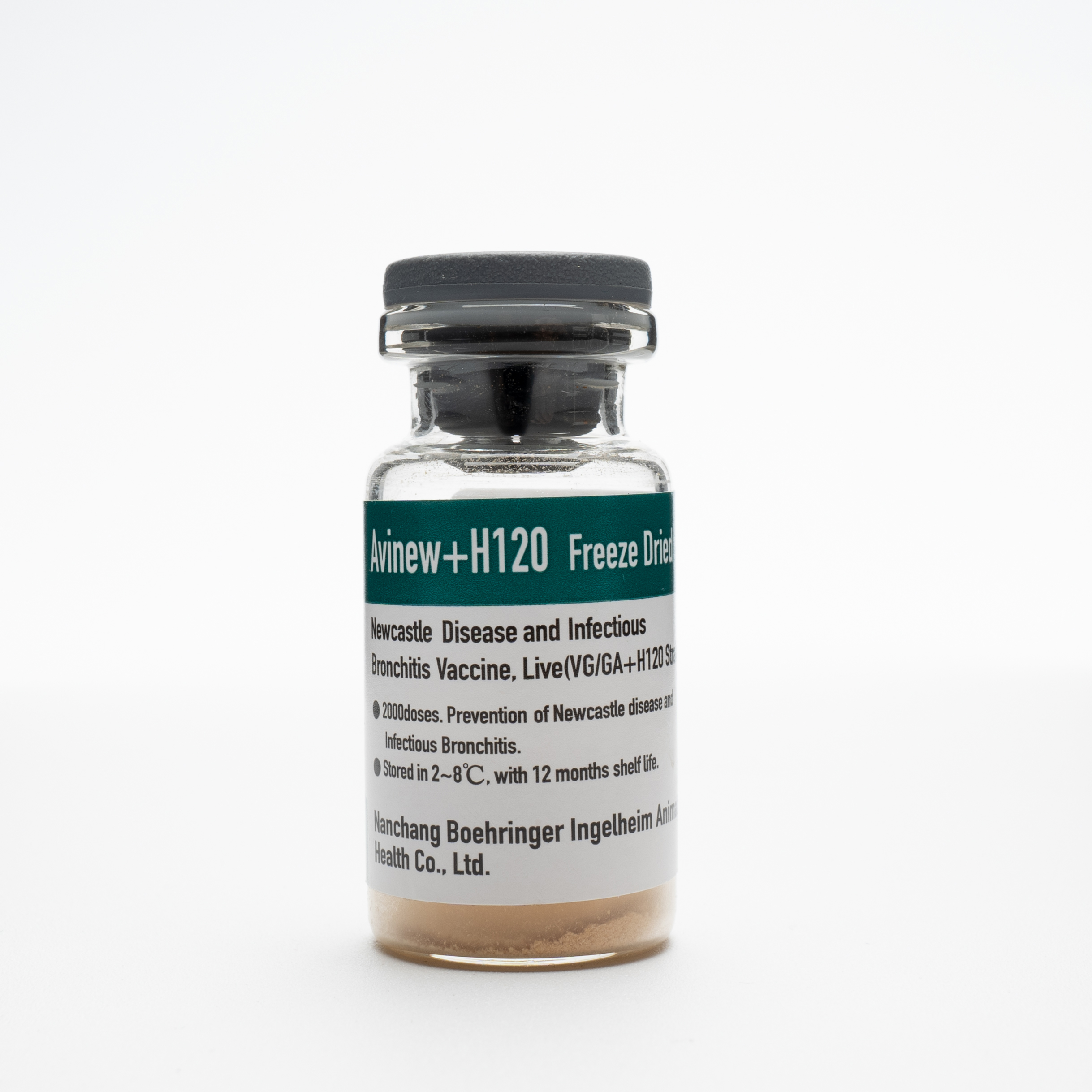 Avinew + H120 ( Newcastles Disease and IB Vaccine)