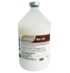 Gallimune Se + St