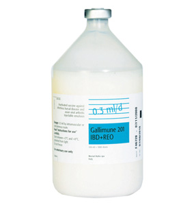 Gallimune 201 IBD + REO