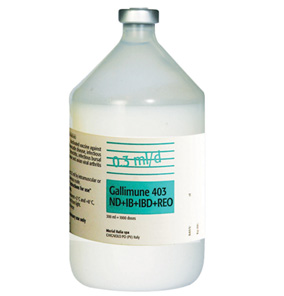 Gallimune 403 ND + IB + IBD + REO