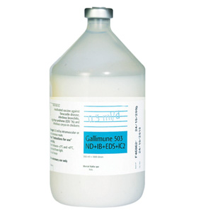 Gallimune 503 ND + IB + EDS IC2