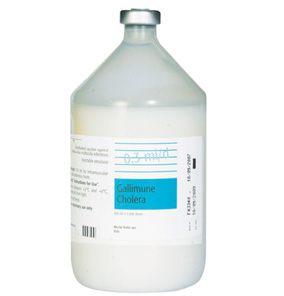 Gallimune Cholera