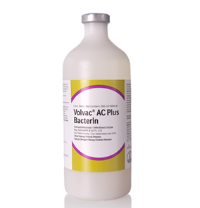 Volvac AC Plus Bacterin KV